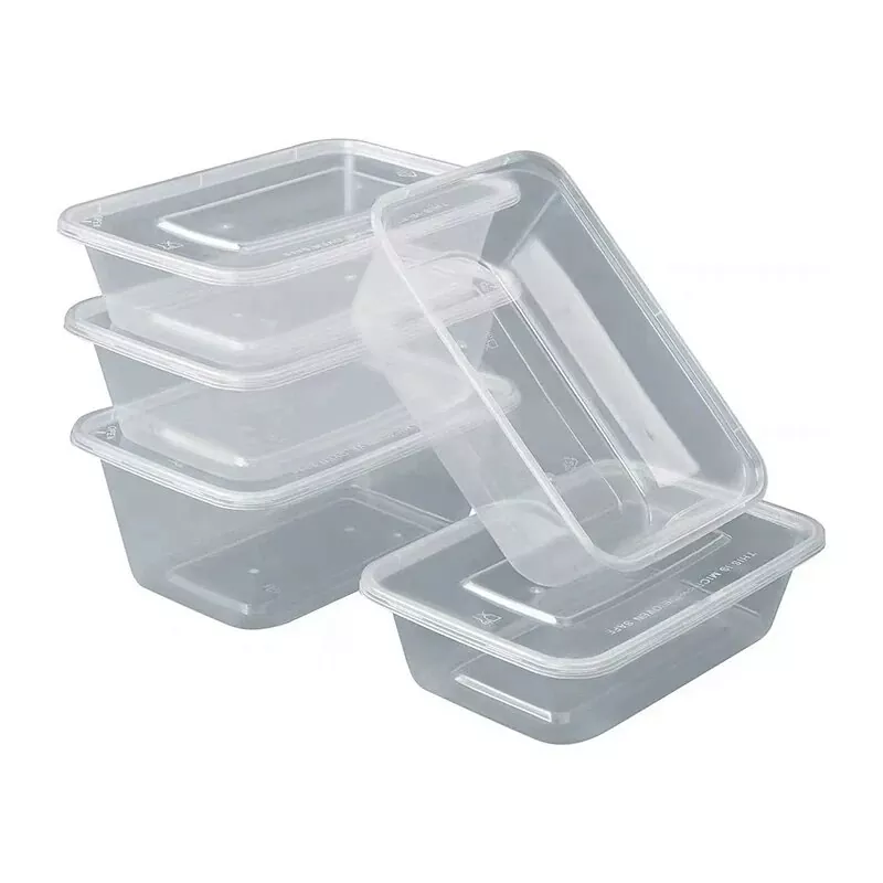 Microwave-Safe Plastic Lunch Box